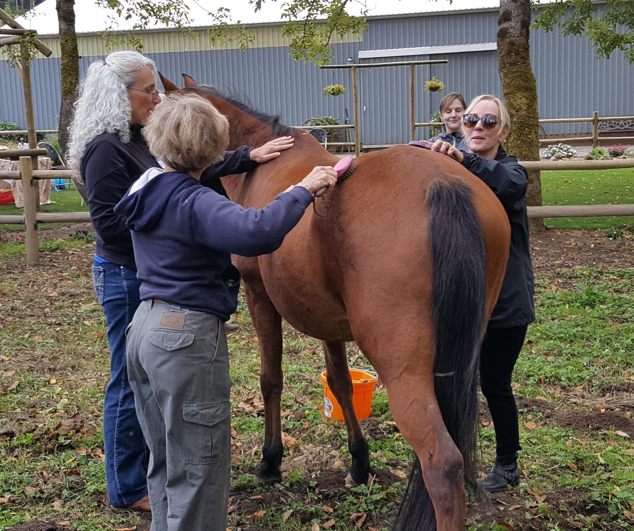For the love of equines