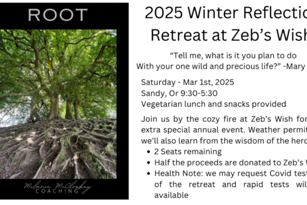 Reflection retreat