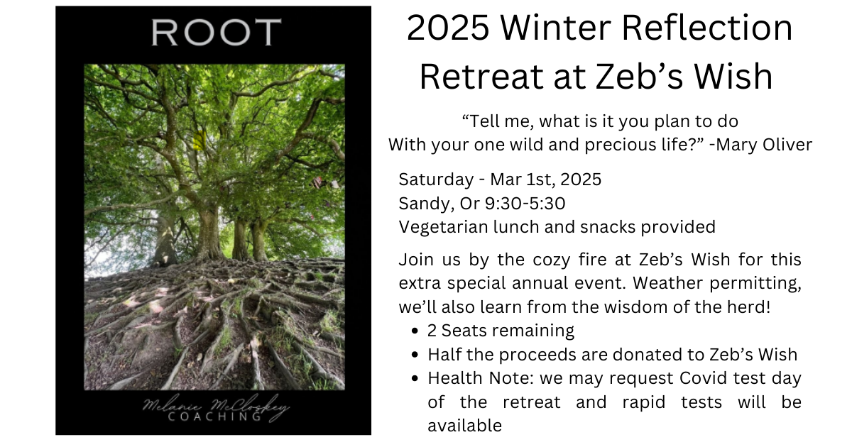 Reflection retreat