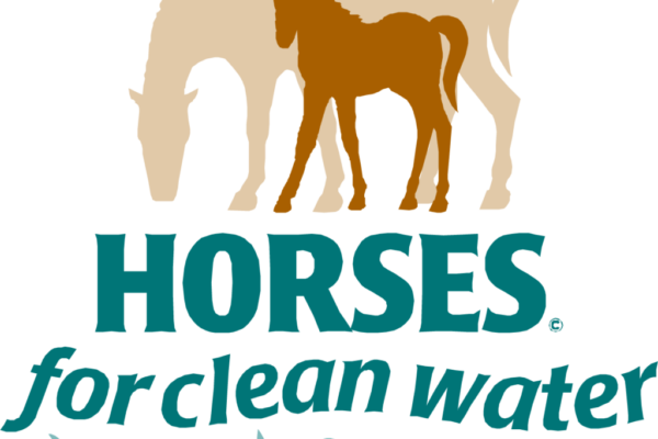 Horses for clean water