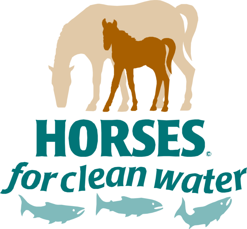 Horses for clean water