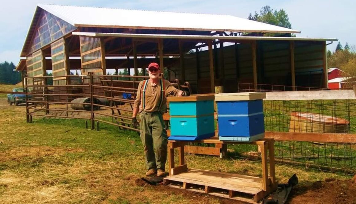 Intro to beekeeping