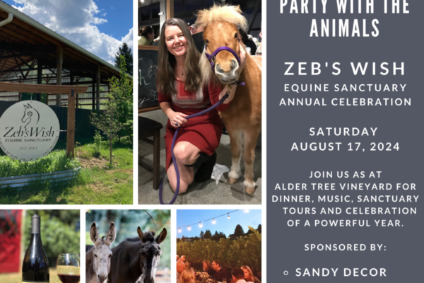 Zeb's Wish Annual Party Invite 2024 - Postcard