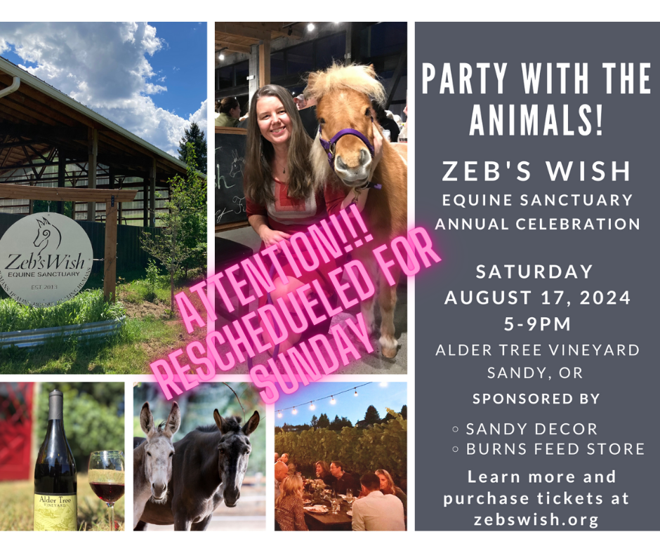 Zeb's Wish Annual Party Invite 2024 - Postcard (Facebook Post)